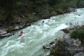 Curs caiac whitewater Hibiscus Sport